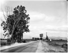 Robertson, 1953. On the road to Ashton.