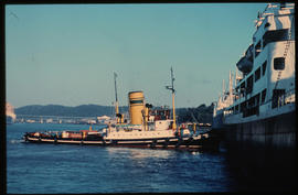 East London, 1968. SAR tug at work in Buffalo Harbour. [S Mathyssen / C Ward]