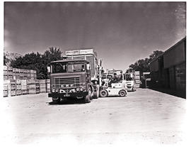 Ceres, 1976. SAR ERF truck No MT80237 truck loading apples.