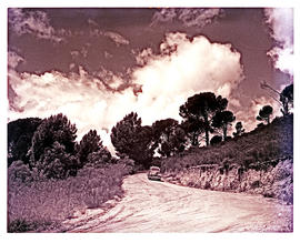 Paarl district, 1952. Mountain drive.