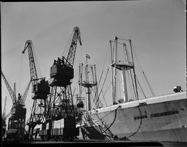 Port Elizabeth, 1948. Loading cranes next to ship 'Robin Sherwood'.