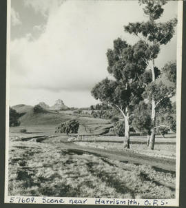 Harrismith district, 1951. Tandjiesberg.