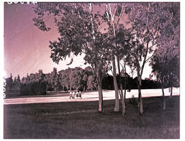 Springs, 1940. Pollak Park golf course.