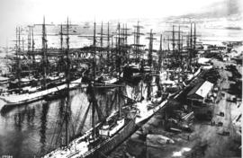 Cape Town. Table harbour congested with large sailing vessels.