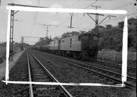 Natal, 1964. SAR Class 5E1 Srs 2 with goods train. Location may not be Natal.