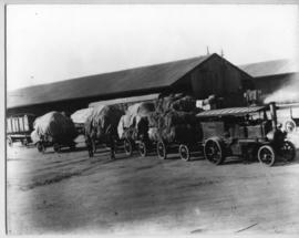 Foden tractor and trailers with large bags. See N27218_02.