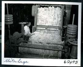 "Uitenhage, 1954. Wool combing at textile factory."