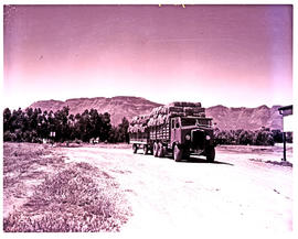 Prince Alfred Hamlet, 1952. SAR Leyland Hippo truck No MT960 with trailer, stacked with bales.