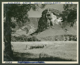Clarens district, 1952. Brandwag mountain at Golden Gate.