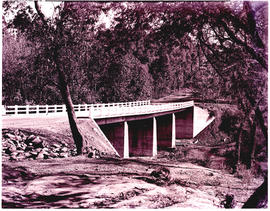 Tzaneen district, 1953. Road bridge.