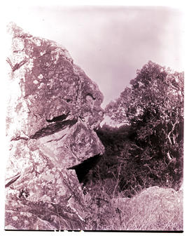 "Graskop district, 1976. 'Stone monster'."