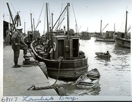 Lamberts Bay, 1957. Fishing boats at quay.