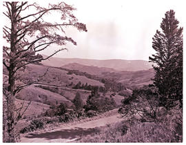 "Graskop district, 1975. Kowyn's pass."