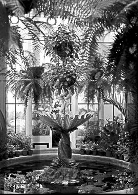 Port Elizabeth, 1936. St George's Park conservatory.