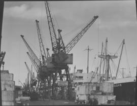 Port Elizabeth, 1948. Loading cranes in Port Elizabeth harbour.