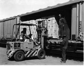 Cape Town, April 1971. Loading apples with forklift from train.