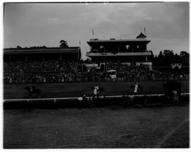 Johannesburg, 1 April 1947. Royal family at race course, racehorses 1 ands 2  being led onto the ...