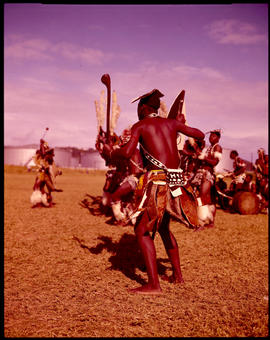 Zulu tribal dancing.