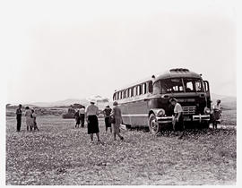 "Namaqualand, 1963. SAR Canadian Brill MT6099 motor coach amidst wildflowers."