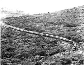 "Durban district, 1980. Centenary train between Durban and Pietermaritzburg."