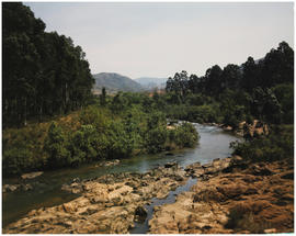 Swaziland, 1973. River near Lubamba. [CJ Dannhauser]