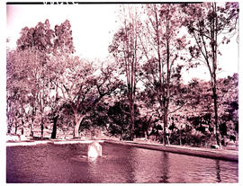 "Ladysmith district, 1950. Black Rock pleasure resort."