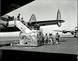 Johannesburg, 1950. Palmietfontein airport. SAA Lockheed Constellation ZS-DBU 'Durban' passengers...