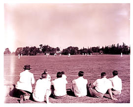 Springs, 1954. Cricket.