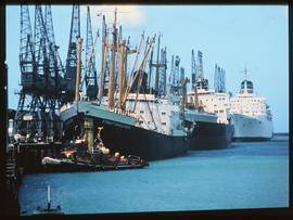 Port Elizabeth, December 1970. Port Elizabeth Harbour. [D Lee / S Mathyssen]