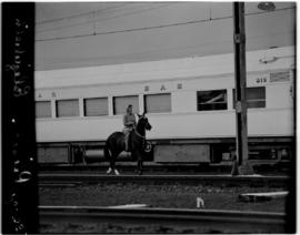 Lions River, 18 March 1947. Princess Elizabeth on horseback alongside the Royal Train.