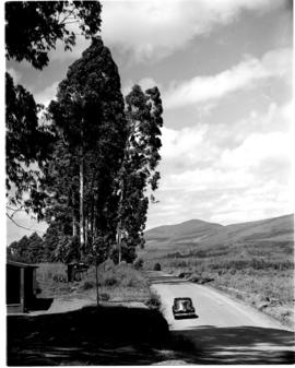 Tzaneen district, 1951. Duiwelskloof. Store next to road.