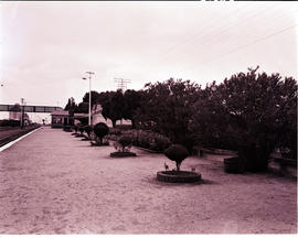 Hennenman, 1947. Station garden.