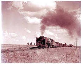 Virginia district, 1953. SAR Class 15F with goods train.