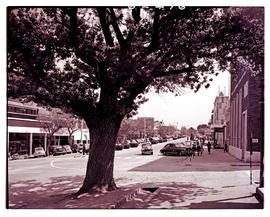 "Uitenhage, 1954. Caledon Street."