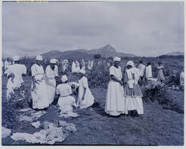 Durban, 1951. Large group of women dressed for religious occasion.