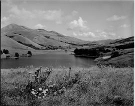 Barberton district, 1954. Shiyalongubo dam on the Lomati River.