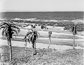 Port Elizabeth, 1950. Seaview.
