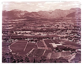 Paarl district, 1961. Paarl valley.
