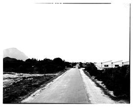 Hermanus district, 1948. Country road.