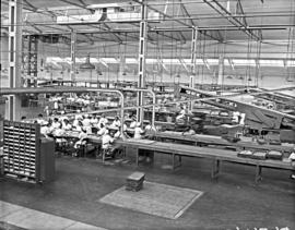 Port Elizabeth, 1950. Pyotts biscuit factory.