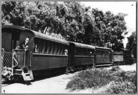 Port Elizabeth, 26 November 1928. The Port Elizabeth - Walmer narrow gauge suburban line on last ...