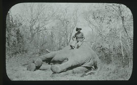Zimbabwe. Big Ga?, shot elephant.