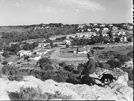 Port Elizabeth, 1950. Overlooking Baakens river valley.