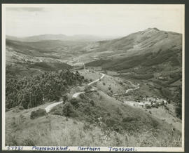 Tzaneen district, 1951. Magoebaskloof.