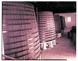 Paarl, 1947. Biggest wine vats under one roof in the world at KWV wine cellars.