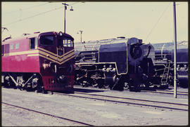 SAR Class ? No E1235 alongside two steam locomotives.