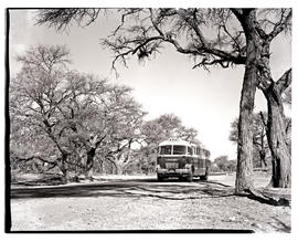 "Windhoek district, South-West Africa, 1961. SAR Canadian Brill MT16900 motor coach."