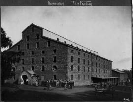 Pinetown. Kearsney tea factory.