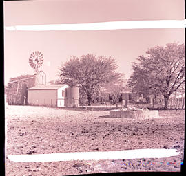 Tsumeb district, South-West Africa, 1961. Typical farmstead.