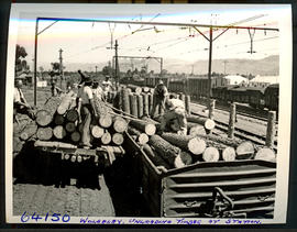 "Wolseley, 1955. Unloading timber at station."